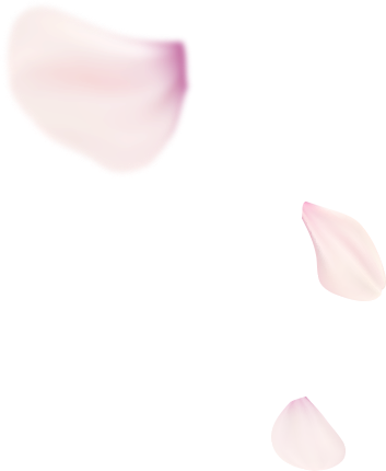 櫻花